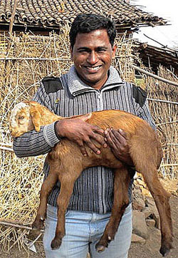 An Augustinian in Central India