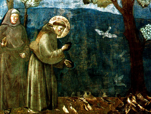 St Francis of Assisi preaching to the birds. By Giotto di Bondone 