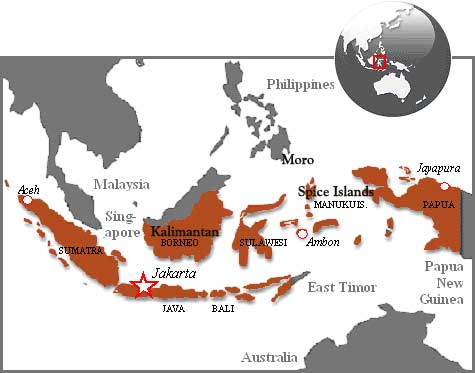 Indonesia (in brown colour) and the surrounding land masses 