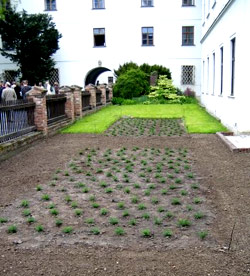 Mendel's garden still planted today