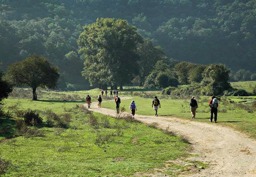 Pilgrims walking the Via Francigena along the top of Spain