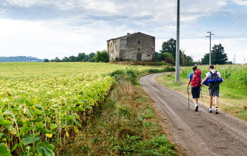 Pilgrims walking the Via Francigena along the top of Spain