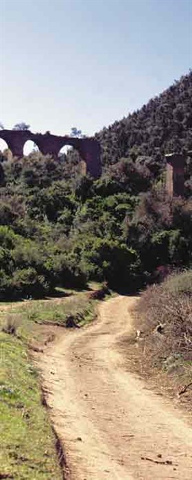 An ancient road in North Africa