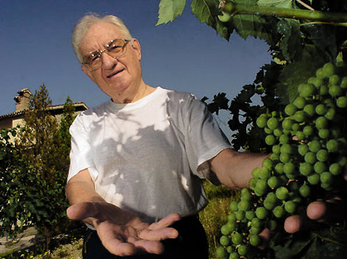 Augustinian friar in the community's vineyard at Gubbio, Italy